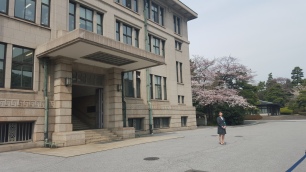 More Office Building of the Imperial Household Agency, with a cherry Blossom tree.